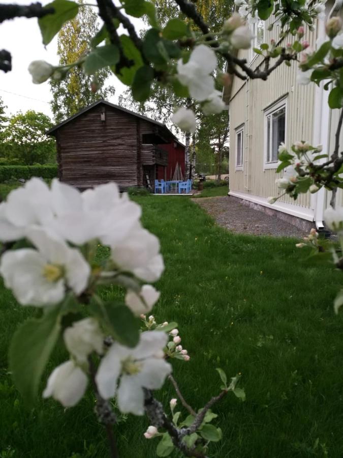 Willa Mustijoki Laukkoski Dış mekan fotoğraf